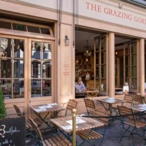the Grazing Goat 