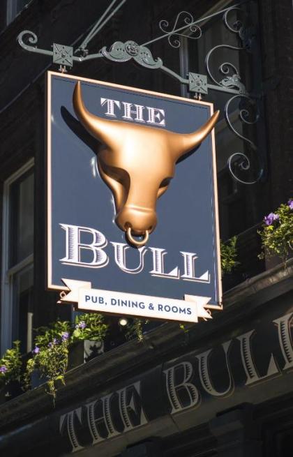 The Bull and The Hide - image 6