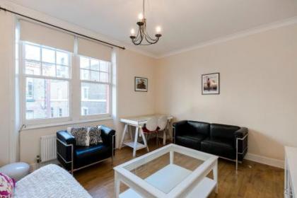 2 bedroom modern apartment on historic Marylebone Lane - image 7