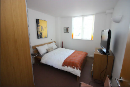 2 Bedroom Penthouse Central London - image 14