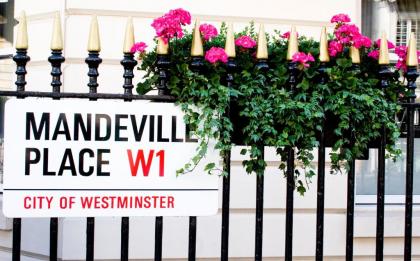 The Mandeville Hotel - image 8