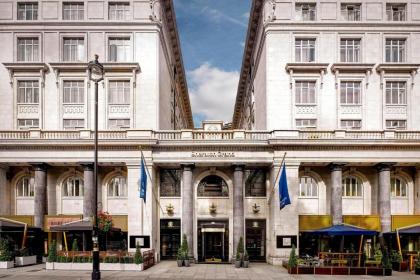 Sheraton Grand London Park Lane - image 1