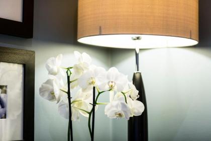 Montagu Place Hotel - image 20