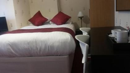 Garth Hotel - image 4