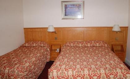 Viking Hotel - image 19