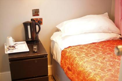 Plaza Hotel - image 17