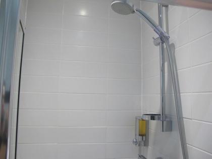 Alhambra Hotel - image 2