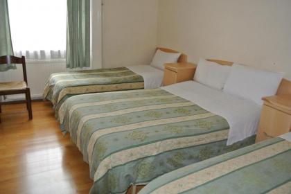 The Belgrove Hotel - image 2