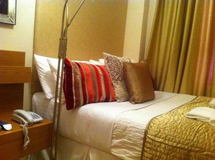 Abc Hyde Park Hotel - image 2