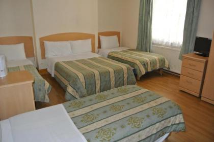 European Hotel - image 3