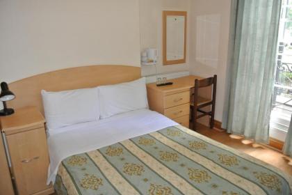 European Hotel - image 7