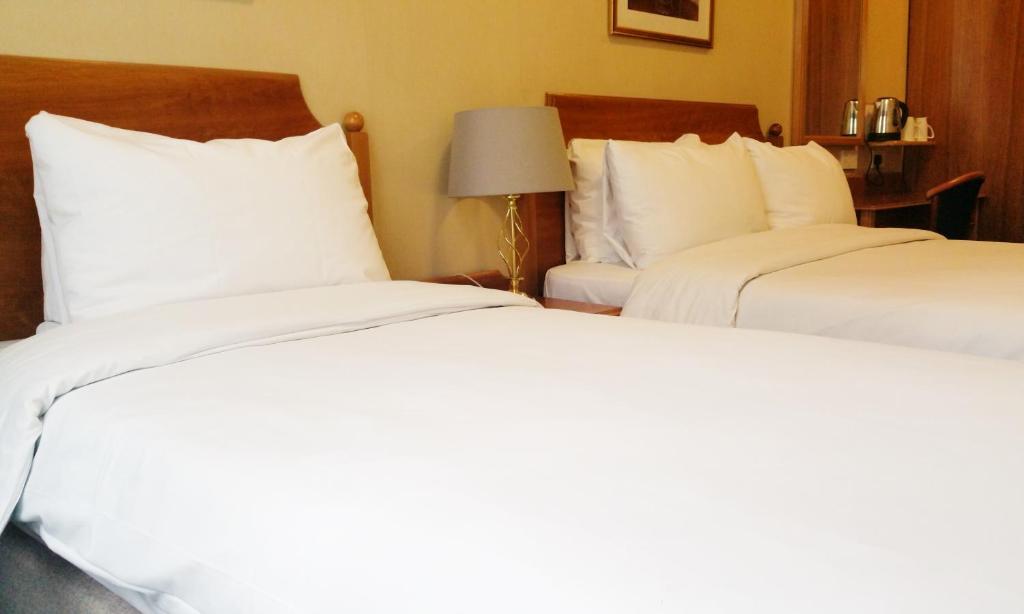 Victor Hotel - London Victoria - image 2