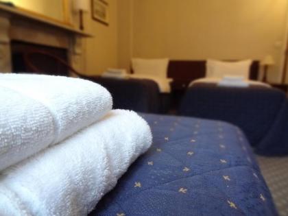 Regency House Hotel - image 12