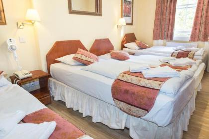 Dolphin Hotel - image 14