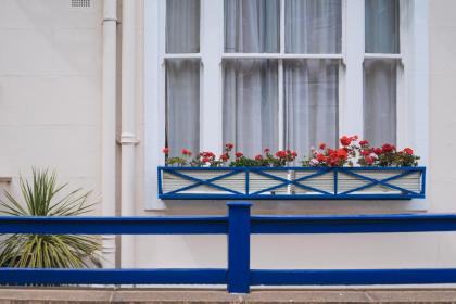 Dolphin Inn - The Lodge - image 10