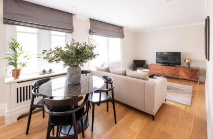 Native Mayfair - image 16