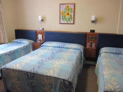 Mitre House Hotel - image 19