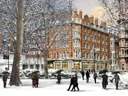 The Morton Hotel