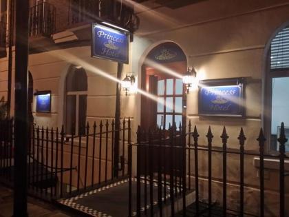 Princess Hotel - image 8
