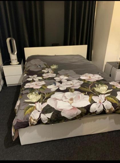 Belsize Park Boutique Accommodation - image 2