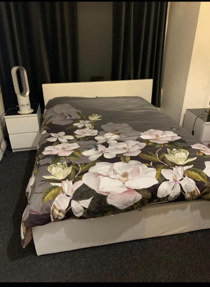 Belsize Park Boutique Accommodation - image 2
