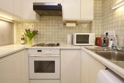 Tower Bridge Apartment - image 3