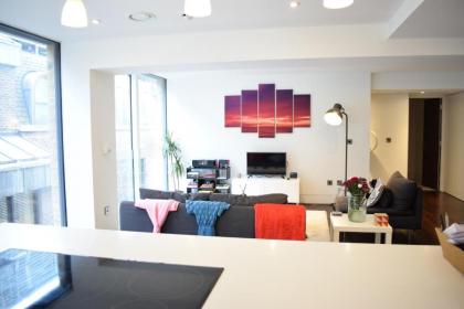 Beautiful Newly Renovated 2 Bed Apartment in Bank - image 8
