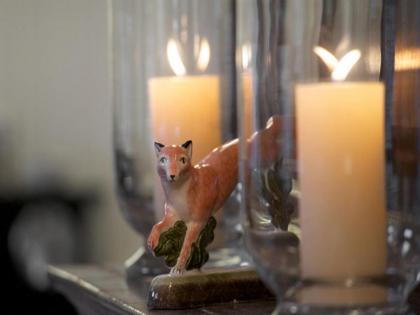 Fox and Grapes - image 6