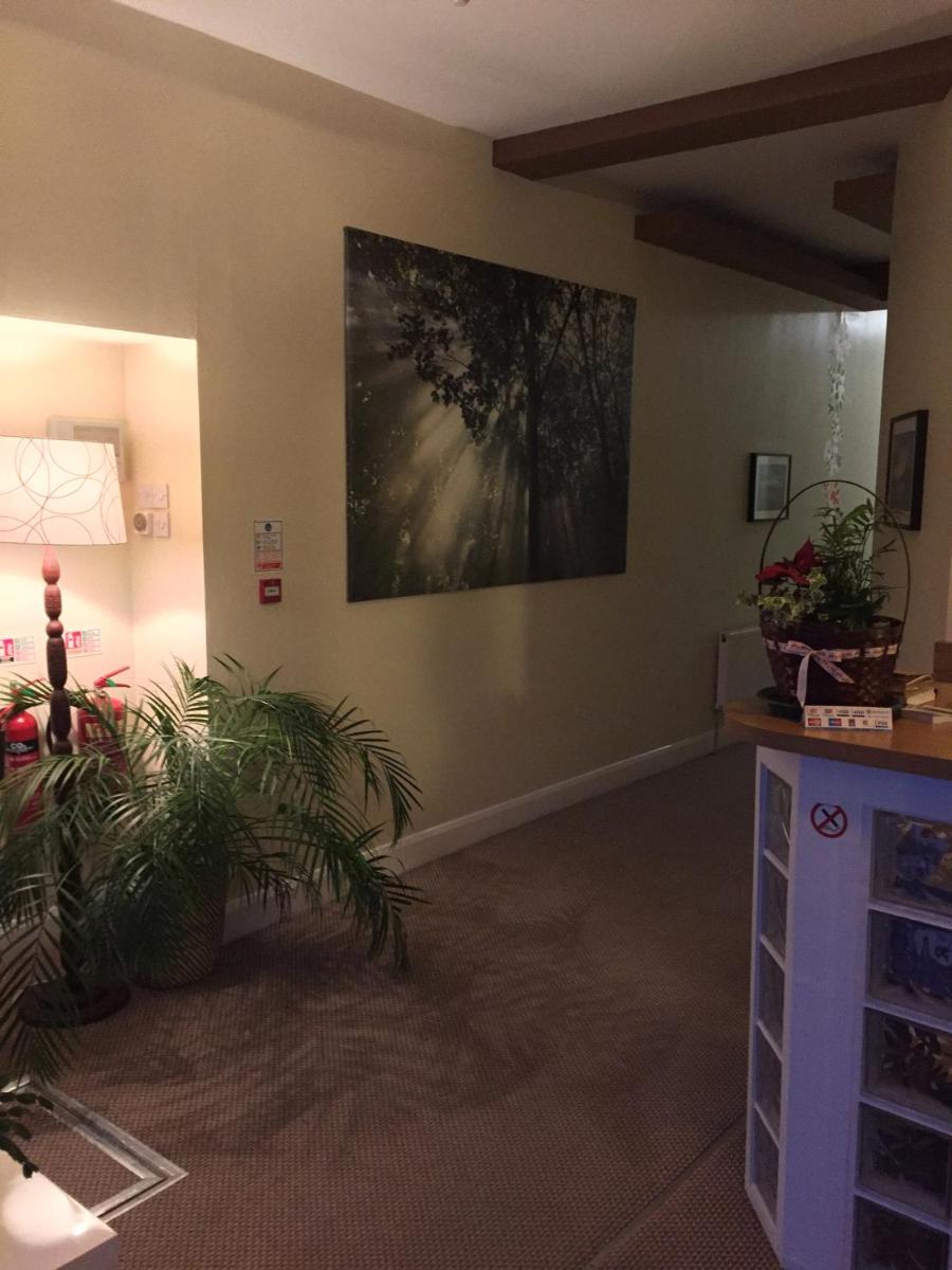 Lyall Apartment Hotel - image 5