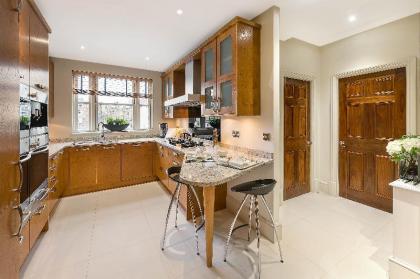 Grand Ambassadorial Triplex Apartment Hyde Park - image 7