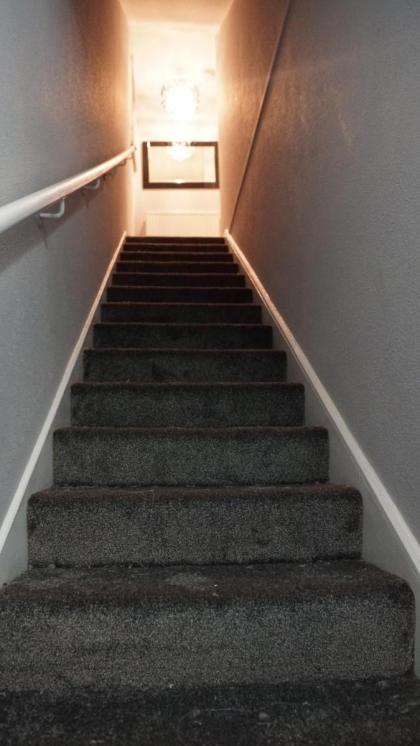 North London Apartment - Edmonton - image 18