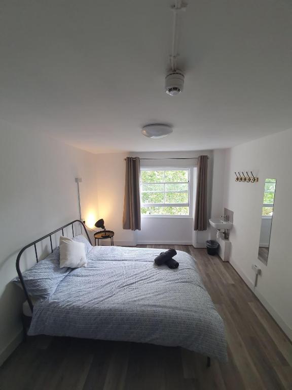 Urbany Hostel London - main image