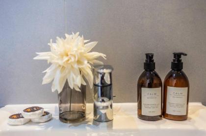 Luxury Two Bedroom Apartment in Hammersmith - 209A - image 12