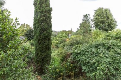 Spacious 1 Bedroom Period property in Hampstead - image 11