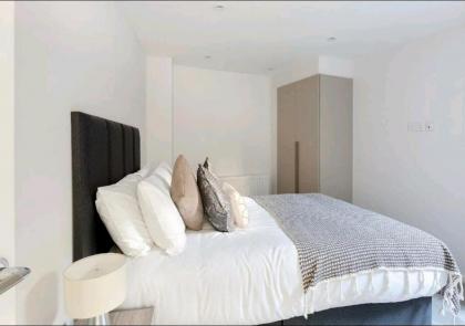 Deluxe Central London North Apartment - image 11