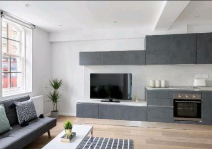 Luxury Central London North Apartment - image 13