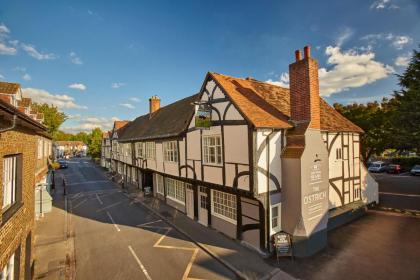 The Ostrich Inn Colnbrook London Heathrow - image 9