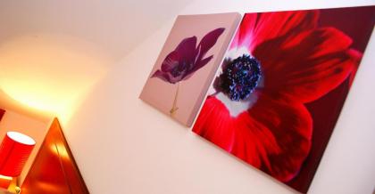 The Hindes Hotel - B&B - image 3