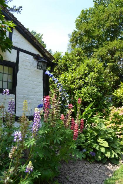 The Old House Inn - image 14