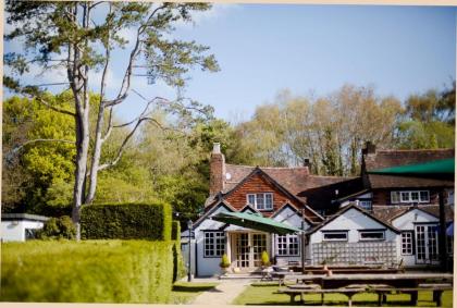 The Old House Inn - image 9