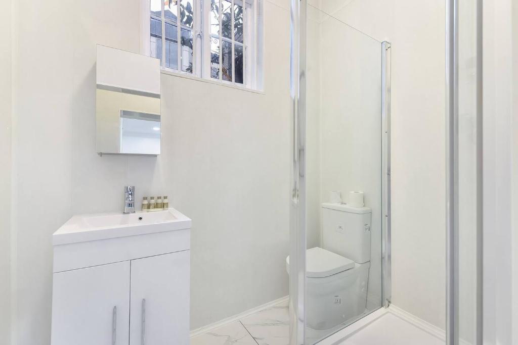 Park Lane apartments Jermyn street - image 4