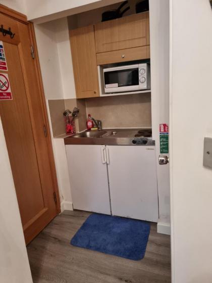 FB2-Fantastic Basement Studio Good for 3 Near Hyde Park - image 5