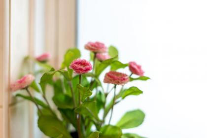 GuestReady - Penthouse Flat in Trendy Peckham - image 2