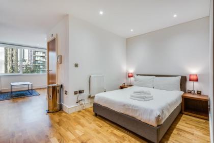 Cosy Studio Apartment in Canary Wharf - image 4