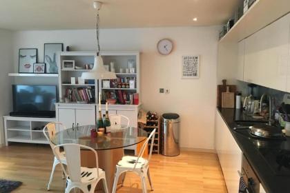 Modern 3 Bedroom Apartment in Paddington - image 9