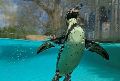 Marylebone Luxury 2-Bed Duplex with Terrace - image 30