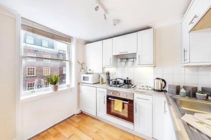 Park Lane Apartments Marble Arch - image 19