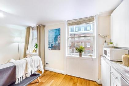 Park Lane Apartments Marble Arch - image 24