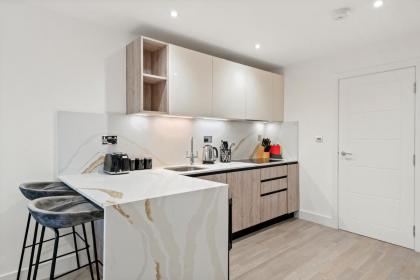 Executive 1 & 2 Bed Apartments in heart of London FREE WIFI by City Stay Aparts London - image 12