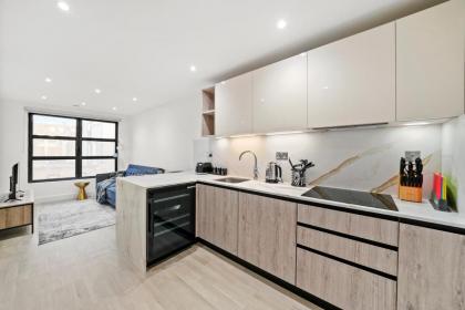 Executive 1 & 2 Bed Apartments in heart of London FREE WIFI by City Stay Aparts London - image 4